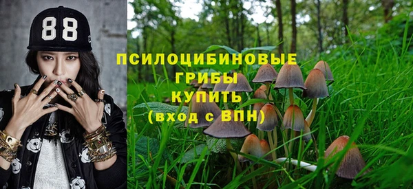 хмурый Михайловка
