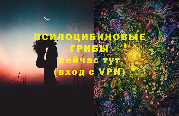 бошки Михайлов